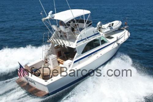 Bertram 38 Special ficha técnica y opiniones